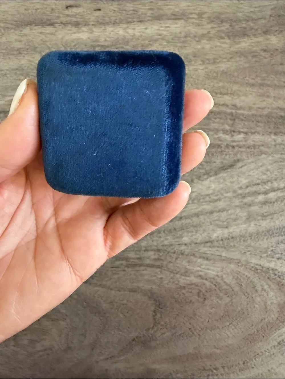 Vintage Velvet Jewelry Case Cosmetic Bag - Navy Blue